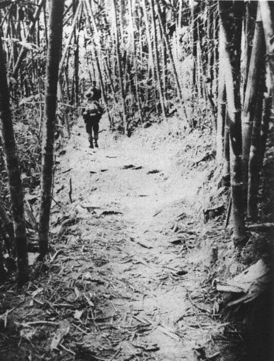 PAVN troops on the trail (photo taken by a U.S. MACV-SOG team)