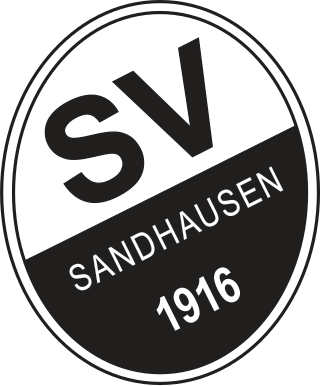 Fortune Salaire Mensuel de Sv Sandhausen Combien gagne t il d argent ? 1 000,00 euros mensuels