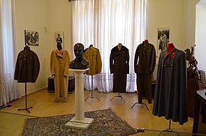 Section of Reza Shah's clothes