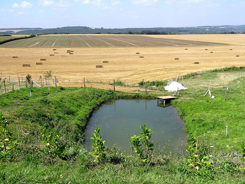 File:Saint-Clair-sur-Epte (95), fontaine du Noisetier au sud du hameau de Breuil.jpg