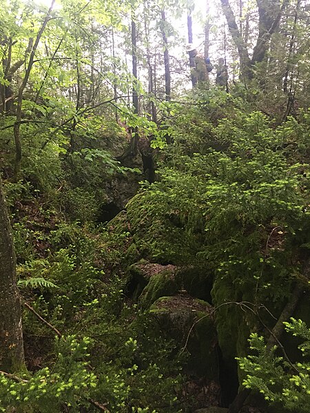 File:Samnabi-2019-brucetrail-1.jpg