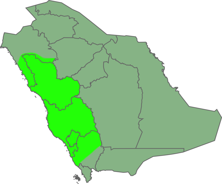 Fișier:Saudi Arabia - Hejaz region locator.png