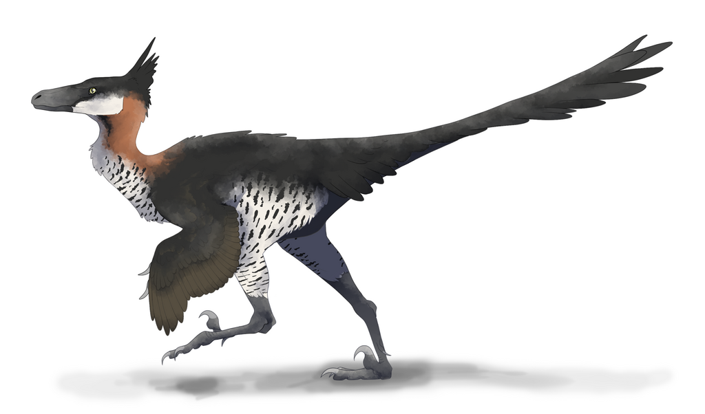 Saurornithoides