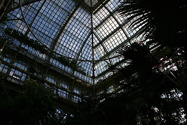 Palmenhaus