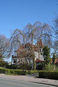 Schleswig-Holstein, Tornesch, Naturdenkmal 12-06 NIK 2237.JPG