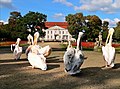 Пеликаны перед дворцом Фридрихсфельде