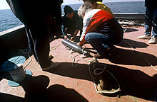 Sediment trap deployment in Thermaikos Gulf, Greece, 2000. The sediment trap has H/D 5.5, internal diameter 127 mm, and a net at the top. The sediment trap had been cast at 25-30 m depth and 3 m above seabed. The anchor (chain) of the mooring can also be seen. Sediment trap Thermaikos 2.jpg
