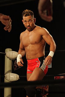 <span class="mw-page-title-main">Seiya Morohashi</span> Japanese professional wrestler