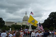 Сторонники движения чаепития с Гасденовским флагом на Марше на Вашингтон 12 сентября 2009 года