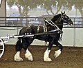 Shire Horse: Exterieur, Mechanik, Interieur