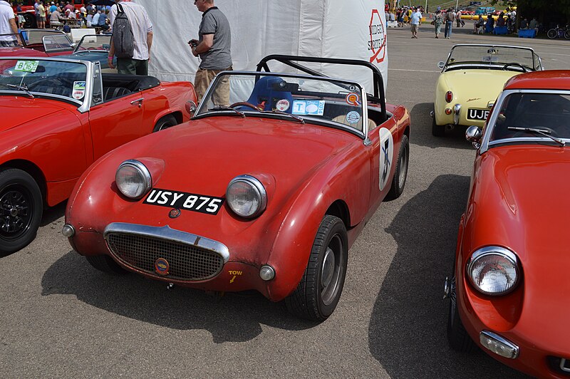 File:Silverstone Classic 2014 - 14617230750.jpg