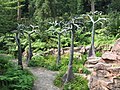 进化园中，鳞木属（Lepidodendron）植物及巨型石松的复制品