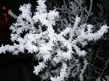 Snow crystallization in Akureyri 2005-02-26 19-03-37.jpeg