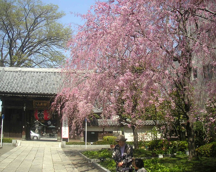 File:Soji-ji Nishitokyo-historical-2006-4-6.jpg