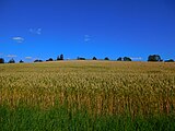 Vrchlabí - vrch Sovinec, pohled od západu