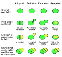 Examples of speciation affecting gene flow. Speciation modes edit.svg