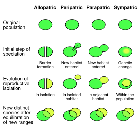 ไฟล์:Speciation_modes_edit.svg