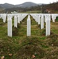 Thumbnail for Bosnian genocide