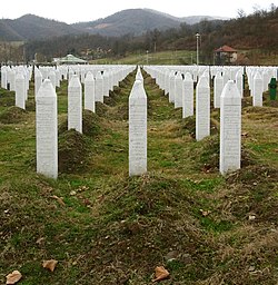 Bosnian Genocide