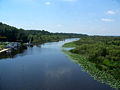 Ocklawaha River: At the Starkes Ferry crossing, looking south.