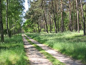 Marienfließ Stepenitz: Kloster und Ort, Naturraum, Literatur