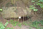 Steyregger Höhle (Fuchsloch oder Großer Höllweinzen)