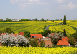 in the foreground Nerkewitz, in the background Stiebritz