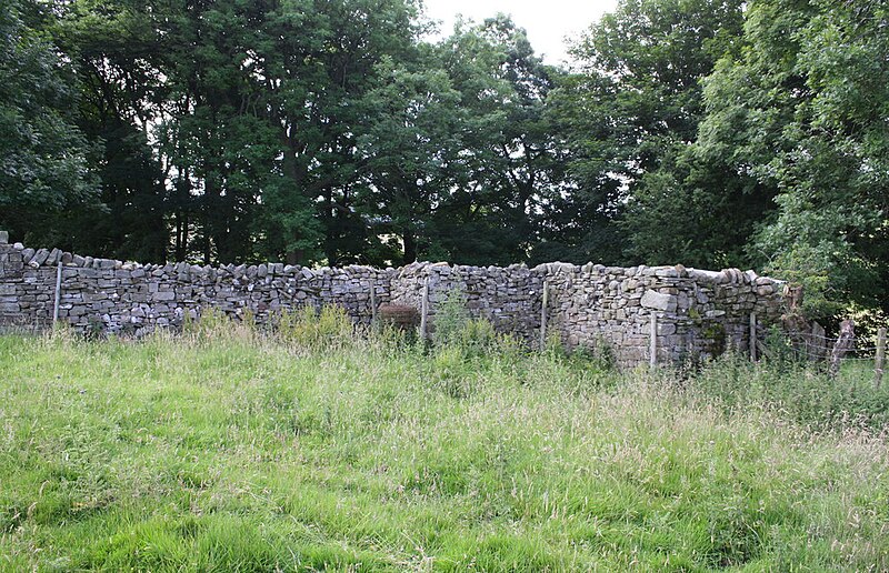 File:Stone wall beside B6270 east of Nateby - geograph.org.uk - 5063344.jpg