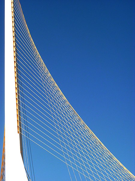 File:Strings Bridge Jerusalem (1) (5865881766).jpg