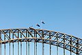 * Nomination Harbour Bridge, Sydney, New South Wales, Australia --XRay 04:19, 6 February 2020 (UTC) * Promotion  Support Good quality -- Johann Jaritz 04:29, 6 February 2020 (UTC)