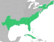 Symphyotrichum tenuifolium distribution map