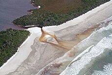 Tannin rich fresh water draining into Cox Bight from Freney Lagoon, Southwest Conservation Area, Tasmania, Australia