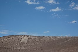 Atacama-reus