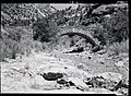 The Pine Creek Bridge. ; ZION Museum and Archives Image 002 01001 ; ZION 9457 (3f7e818e30024c88af8f439e8bfd05c7).jpg