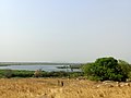The view of River Nile from REI residential areas in nimule Game Park.jpg