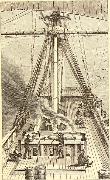 File:The young Nimrods in North America - a book for boys (1881) (14566095289).jpg