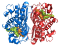 Human thymidylate synthase in complex with dUMP and raltitrexed