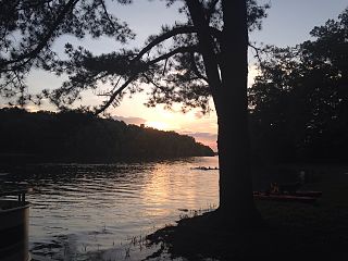 <span class="mw-page-title-main">Tims Ford State Park</span> State park in Tennessee, United States