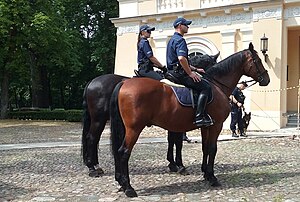 Polska Policja: Historia, Władze, Struktura organizacyjna Policji