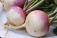 Turnip 2622027.jpg