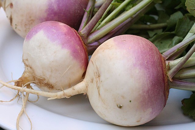 Image: Turnip 2622027