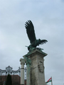 Птица турул, Будимпешта