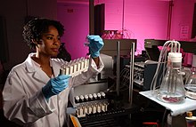 U.S. Army Public Health Center Toxicology Lab technician assessing samples USAPHC TOX Lab (6129598147).jpg