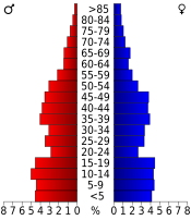 Population pyramid based on 2000 census age data USA Grant County, Kansas age pyramid.svg