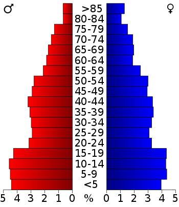 USA Uvalde County, Texas age pyramid.svg