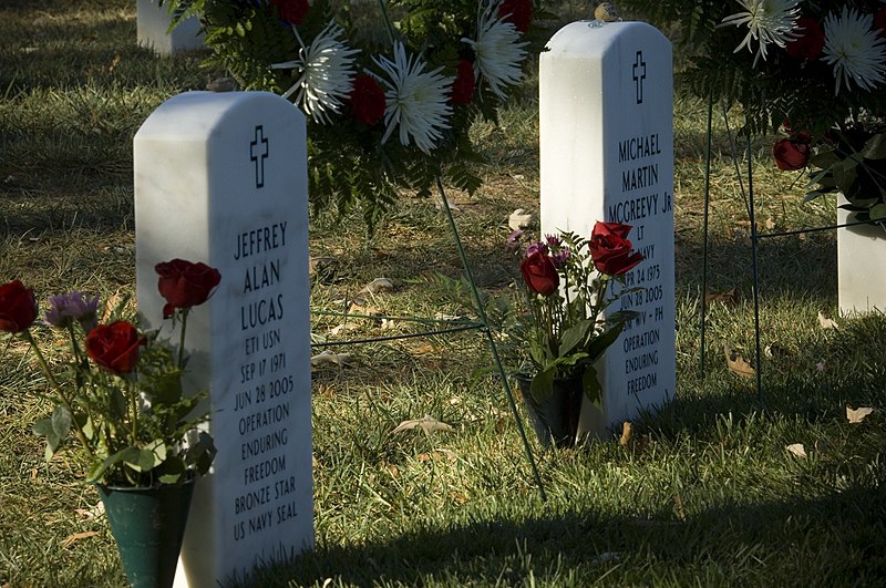 File:US Navy 071021-N-5319A-039 Flowers presented by the family Navy SEAL Lt. Michael Murphy lie beside the graves of Electronics Technician 1st Class Jeffrey Lucas and Navy Lt. Michael McGreevy at Arlington National Cemetery.jpg