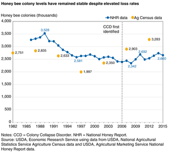 Colony Collapse Disorder Wikipedia - 