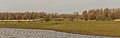 Uitzicht vanuit vogelkijkhut De Krakeend. Locatie, Oostvaardersplassen.