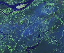 Oct 20 (4): Understory forest fires in Brazil on October 11, 2023