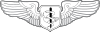 United States Air Force Flight Nurse Badge.svg